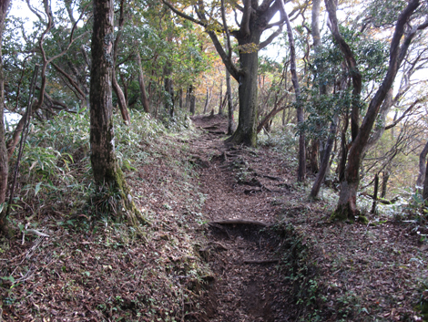 20181025hike (196)